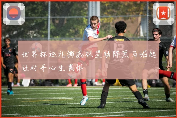 世界杯巡礼挪威双星助阵黑马崛起让对手心生畏惧